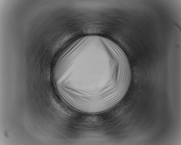 X0000100880631200807111343