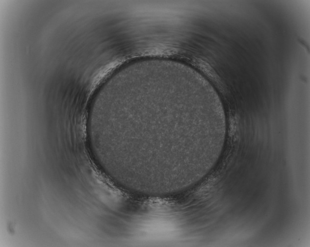 X0000100880632200807111343