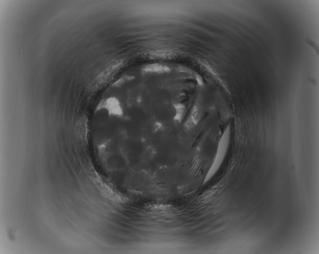 X0000100880637200807111343