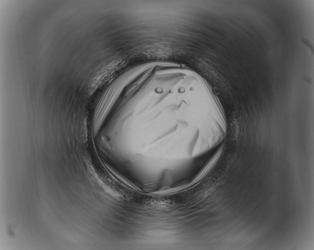 X0000100880638200807111343