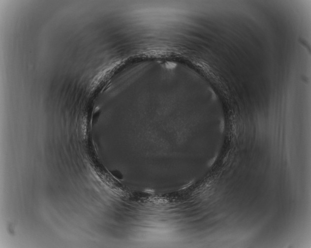 X0000100880640200807111343