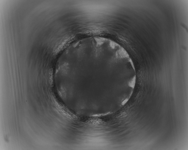 X0000100880642200807111343