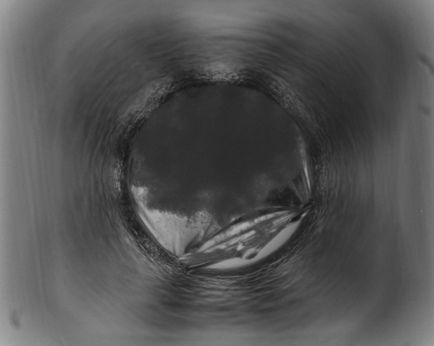 X0000100880643200807111343