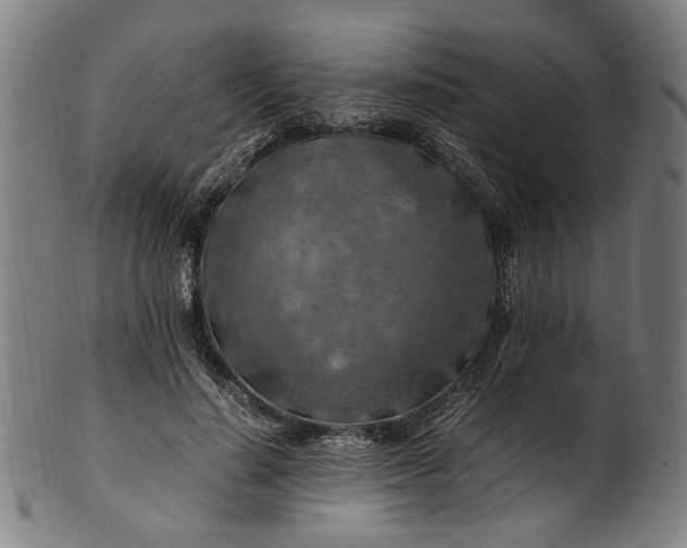 X0000100880644200807111343