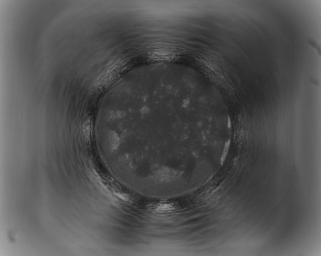 X0000100880647200807111343