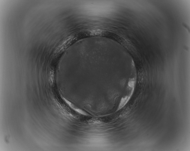 X0000100880648200807111343