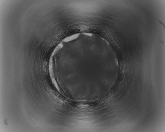 X0000100880650200807111343