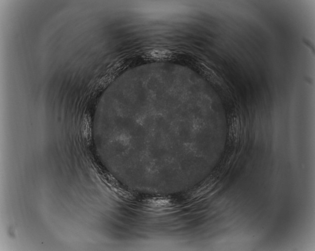 X0000100880651200807111344