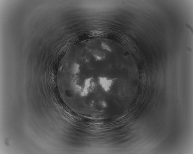 X0000100880653200807111344