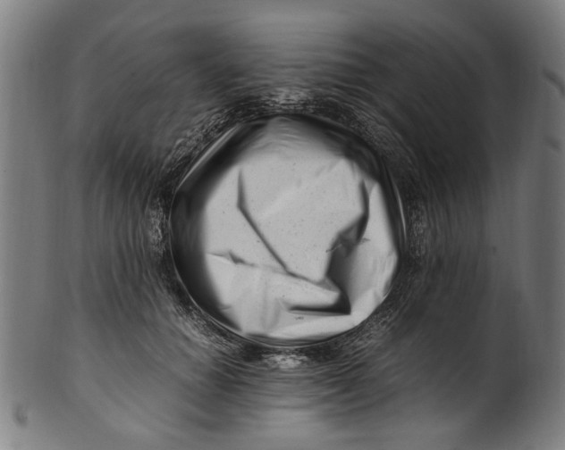 X0000100880654200807111344