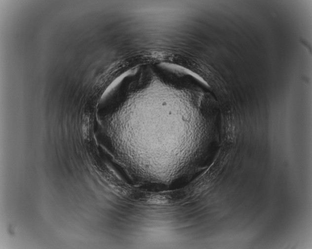 X0000100880656200807111344