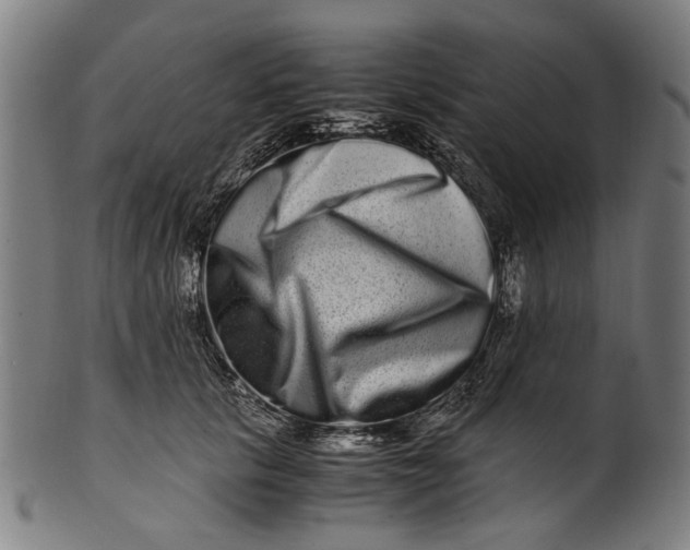 X0000100880657200807111344