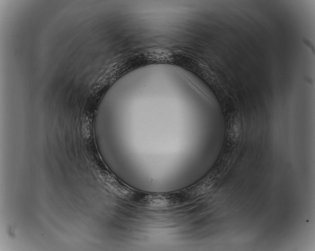 X0000100880658200807111344