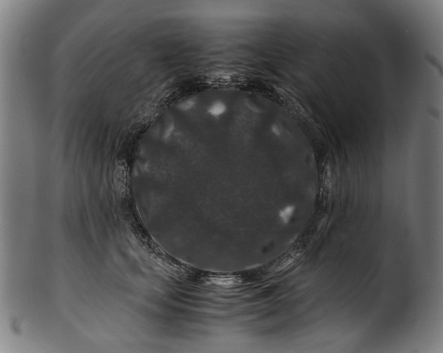 X0000100880659200807111344