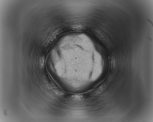 X0000100880660200807111344