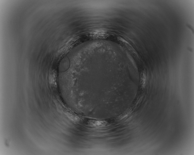 X0000100880663200807111344