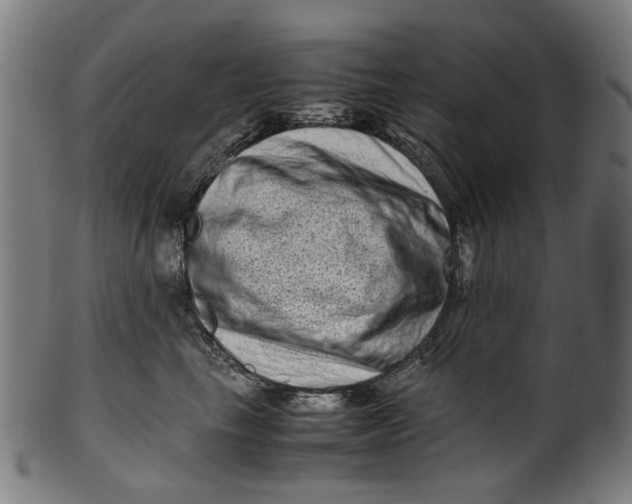 X0000100880665200807111344