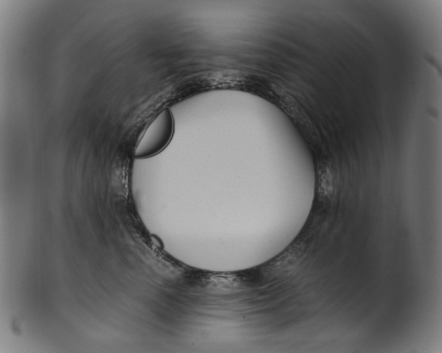 X0000100880666200807111344