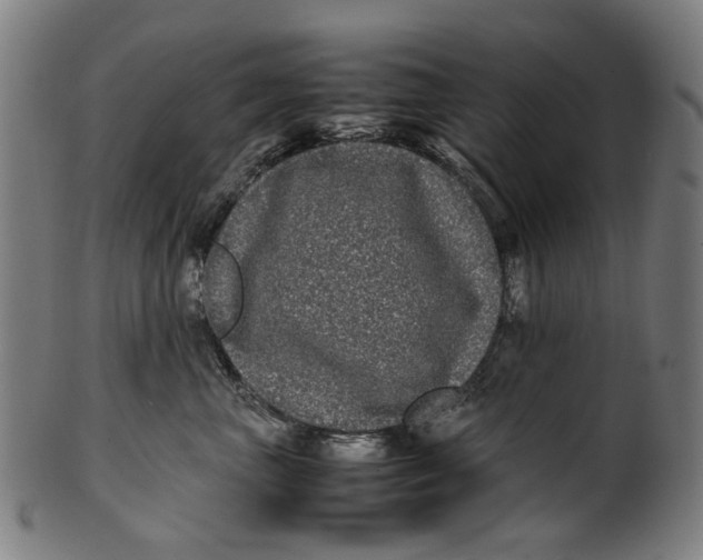 X0000100880667200807111344