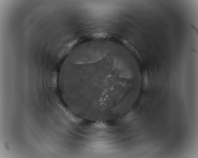 X0000100880668200807111344