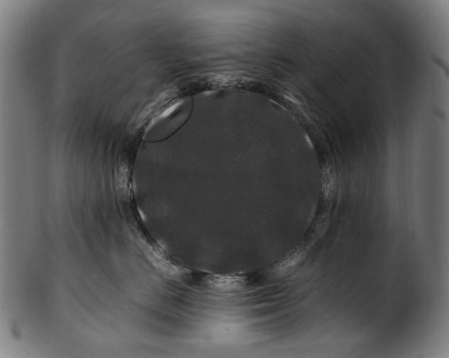 X0000100880670200807111344