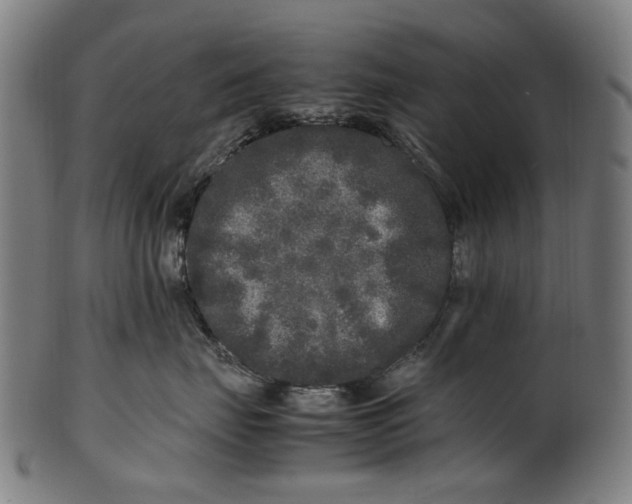 X0000100880671200807111344