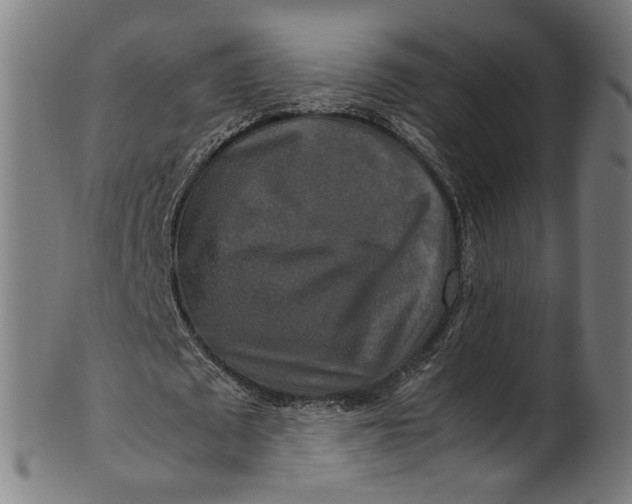 X0000100880673200807111343