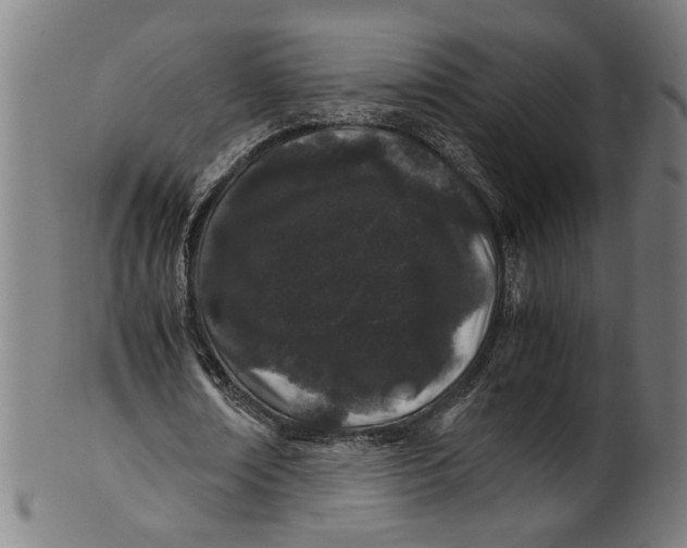 X0000100880674200807111343