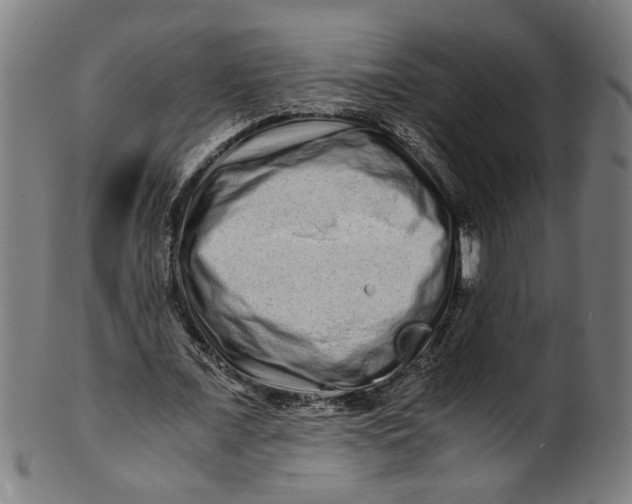 X0000100880675200807111343