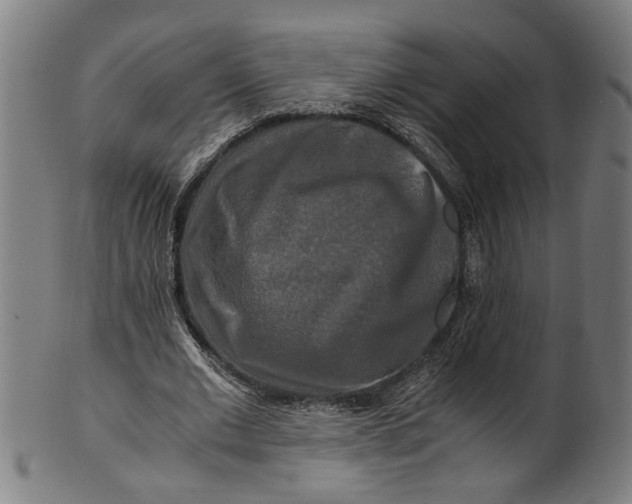 X0000100880677200807111343