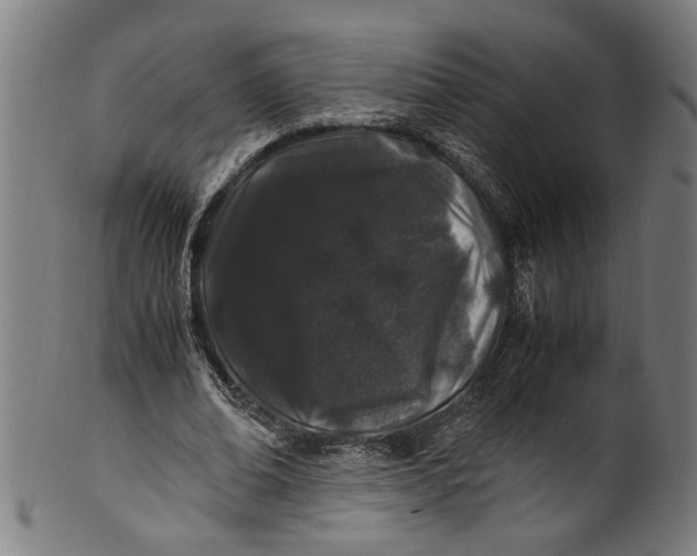 X0000100880678200807111343