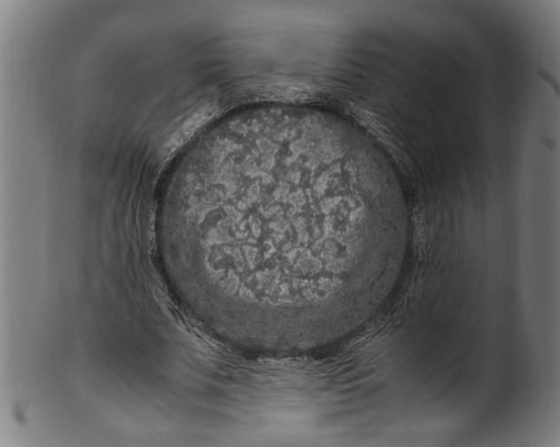 X0000100880679200807111343