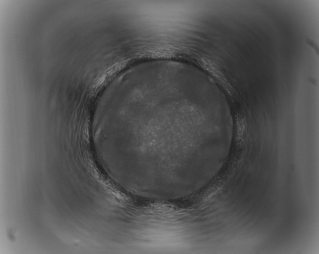 X0000100880681200807111343