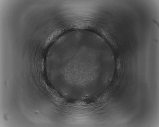 X0000100880685200807111343