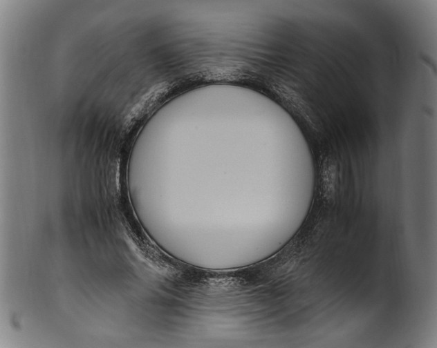 X0000100880686200807111343