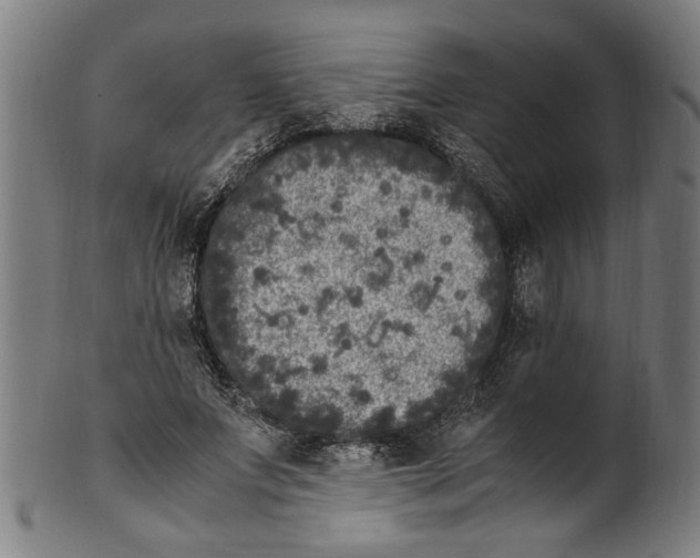 X0000100880687200807111343