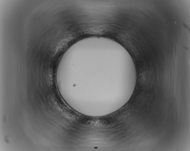 X0000100880688200807111343