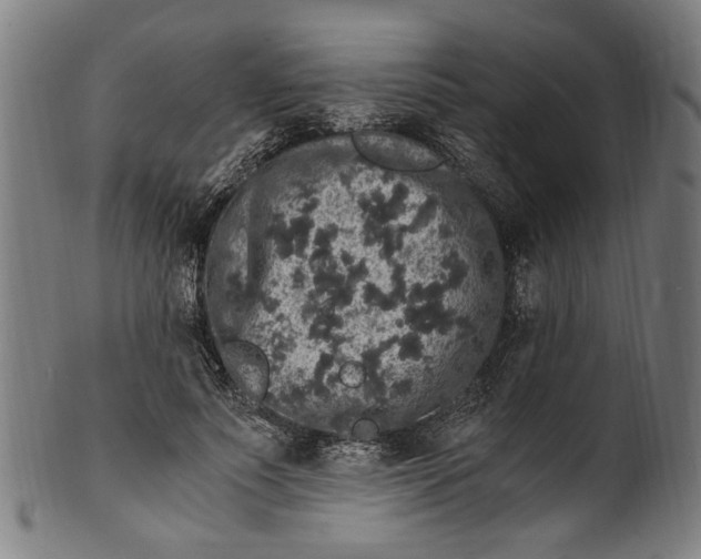 X0000100880691200807111343