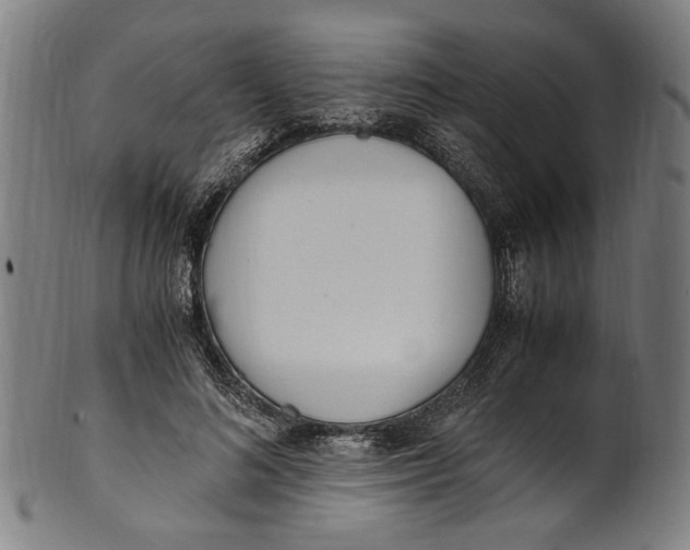 X0000100880692200807111343