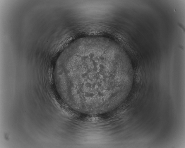 X0000100880695200807111342