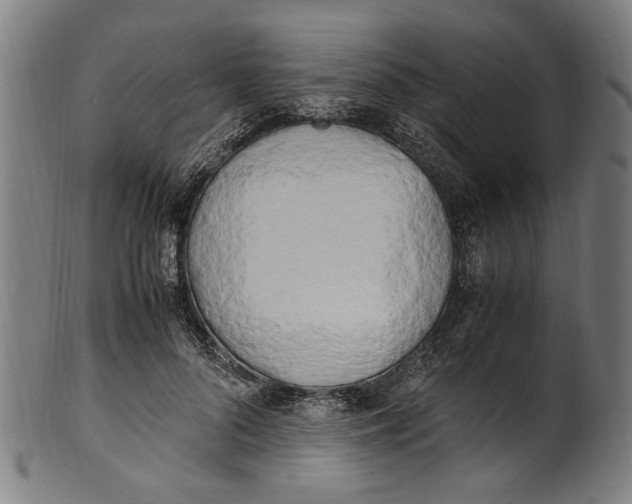 X0000100880696200807111342