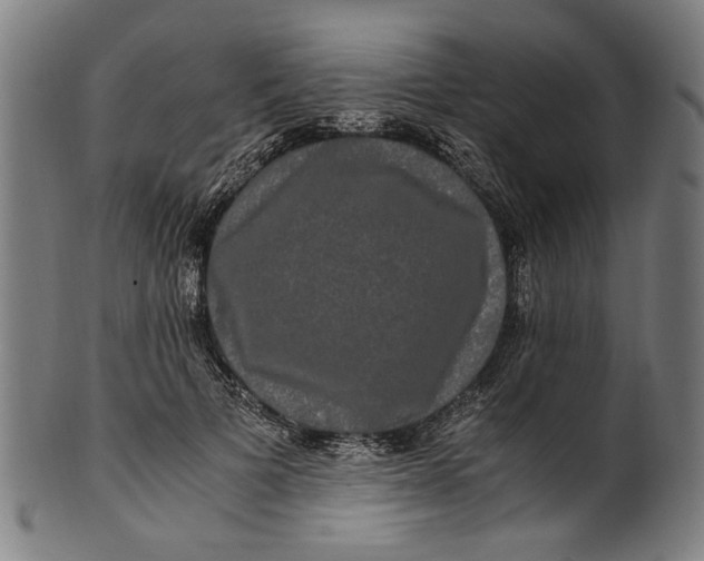 X0000100880697200807111342