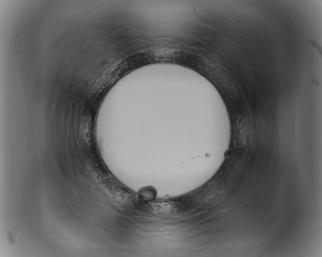 X0000100880698200807111342