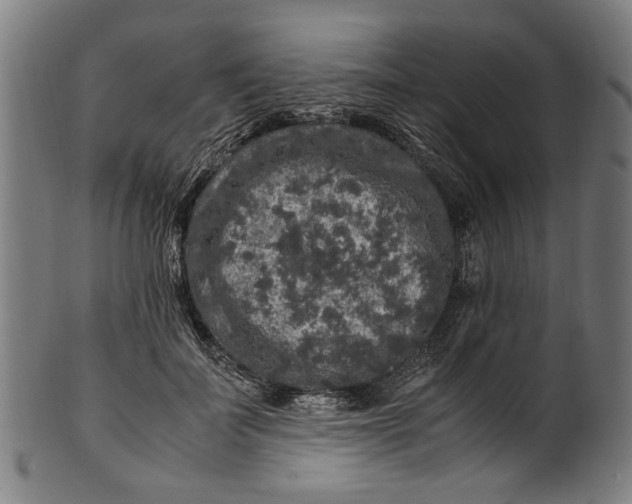 X0000100880699200807111342