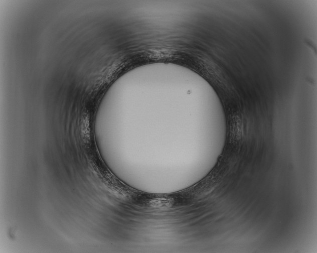 X0000100880700200807111342