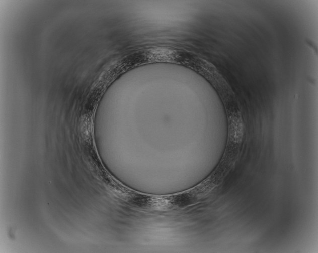 X0000100880701200807111342