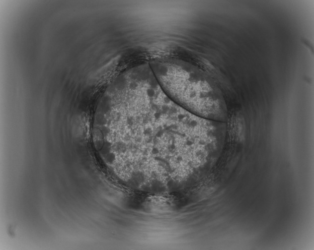 X0000100880703200807111342