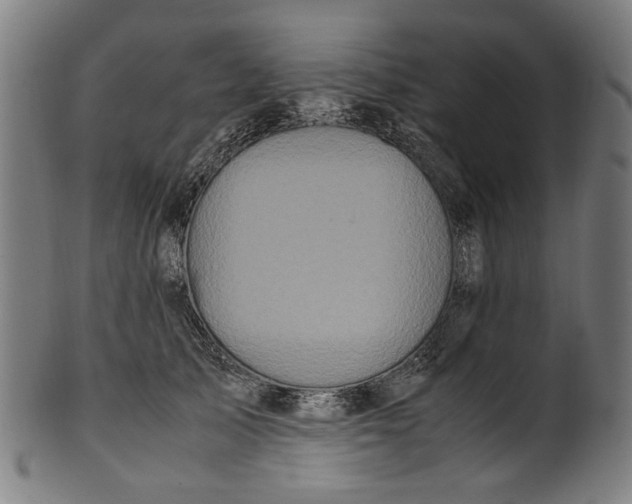 X0000100880705200807111342