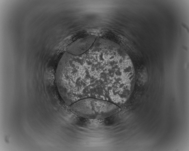 X0000100880707200807111342