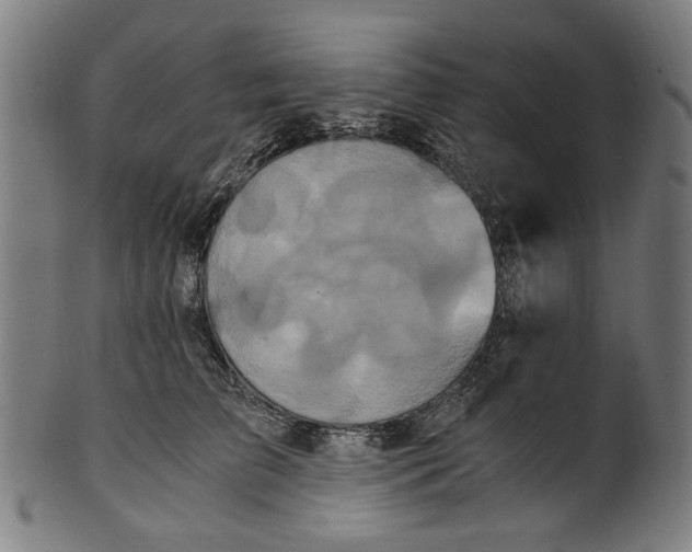 X0000100880709200807111342